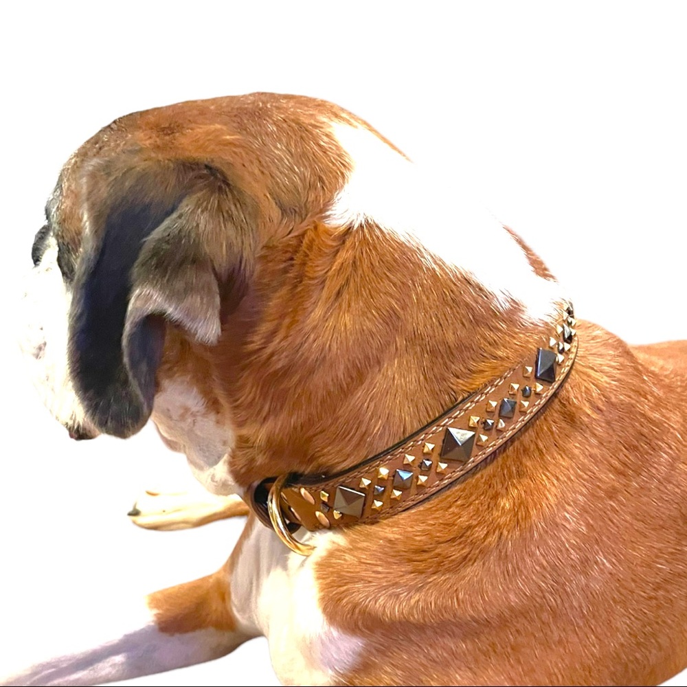 Macho man studded collar